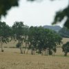 Tour 15: Boltenhagen